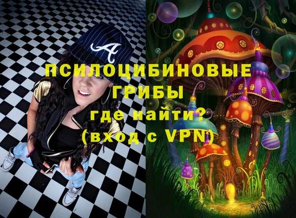 молекула духа Семикаракорск