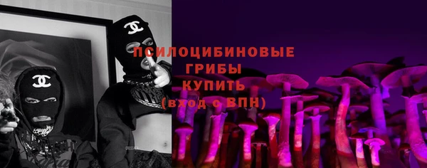 ПСИЛОЦИБИНОВЫЕ ГРИБЫ Баксан