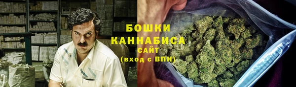 ПСИЛОЦИБИНОВЫЕ ГРИБЫ Баксан