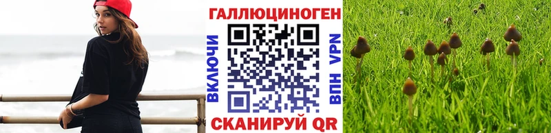 купить   ОМГ ОМГ ССЫЛКА  Псилоцибиновые грибы ЛСД  Давлеканово 
